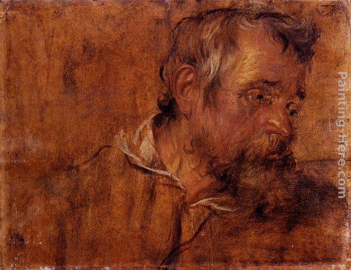 Sir Antony van Dyck Profile Study Of A Bearded Old Man